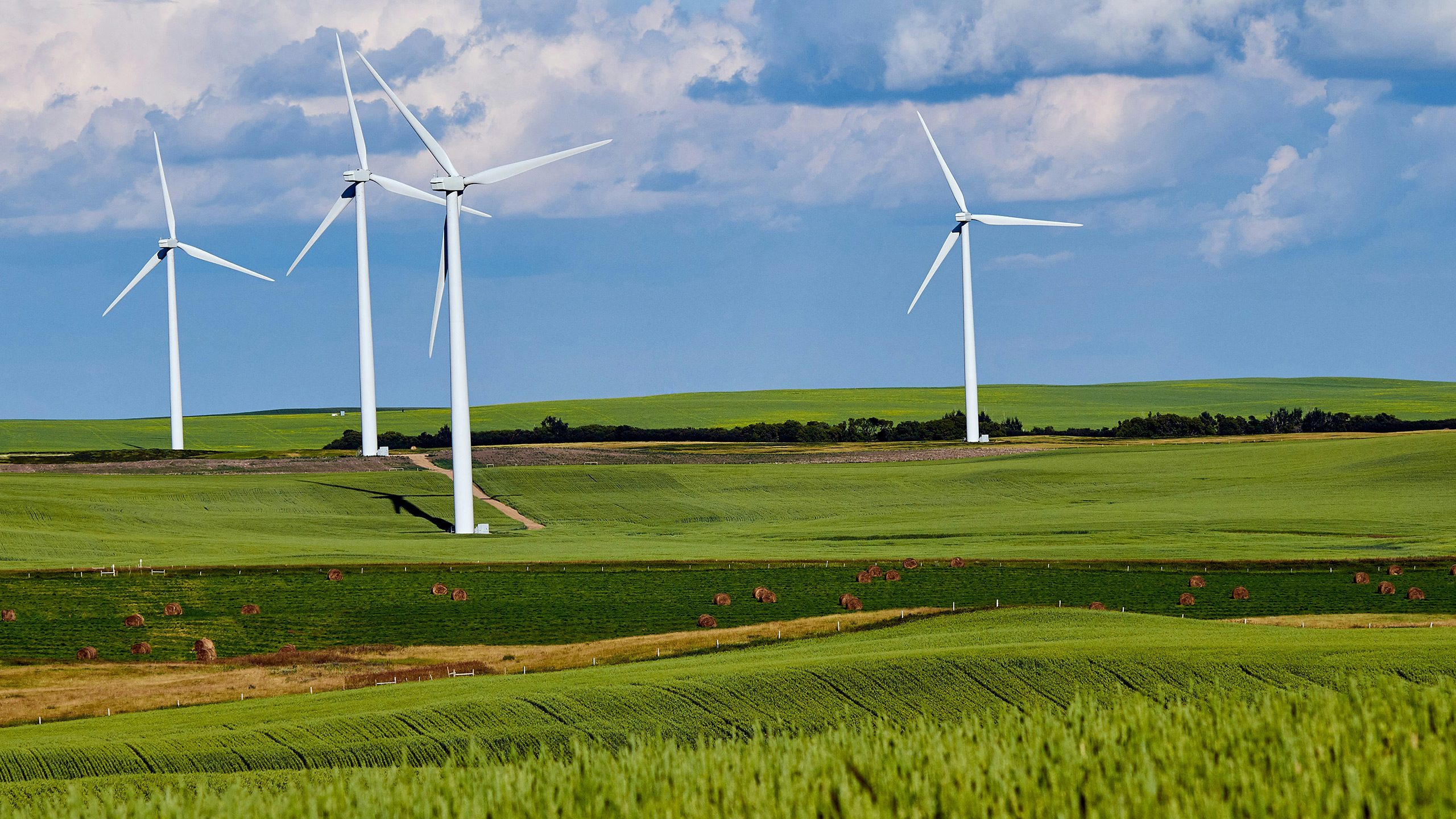windmills over green fields